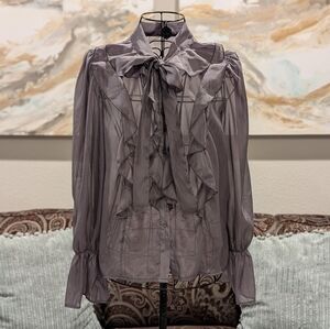 NWOT Elegant Sheer Shiny Gray Ruffle Blouse